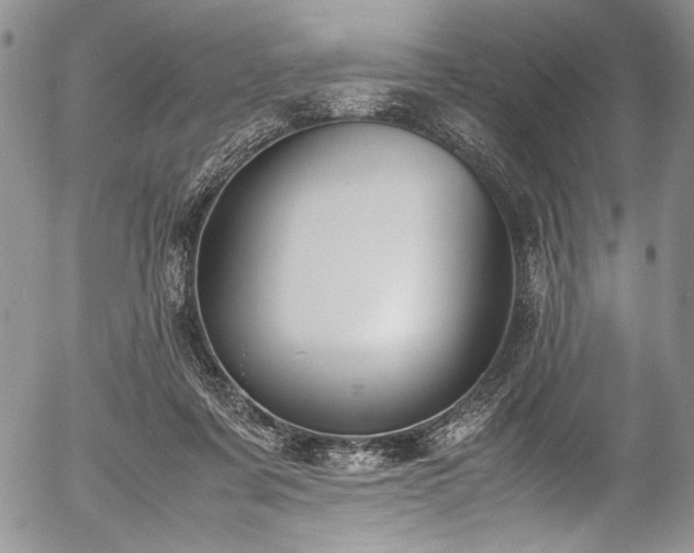 X0000054470311200508011508