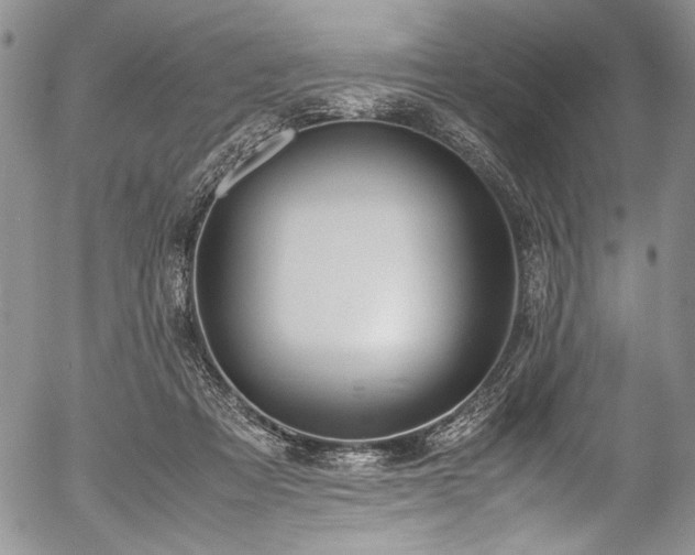X0000054470313200508011508