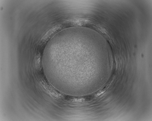 X0000054470314200508011508