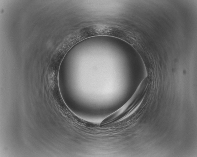 X0000054470319200508011508