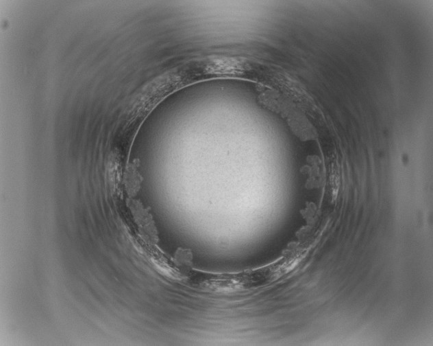 X0000054470322200508011508