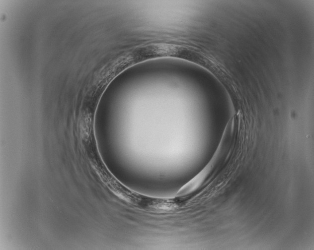 X0000054470325200508011508
