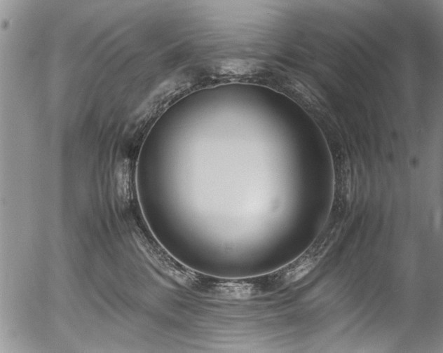 X0000054470328200508011508