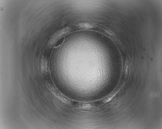 X0000054470330200508011508
