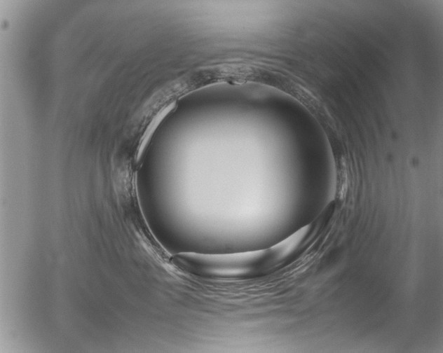 X0000054470333200508011508