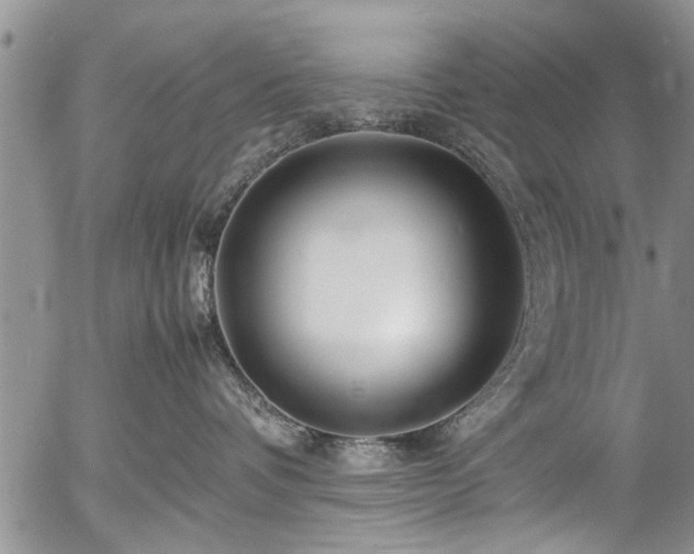 X0000054470336200508011508