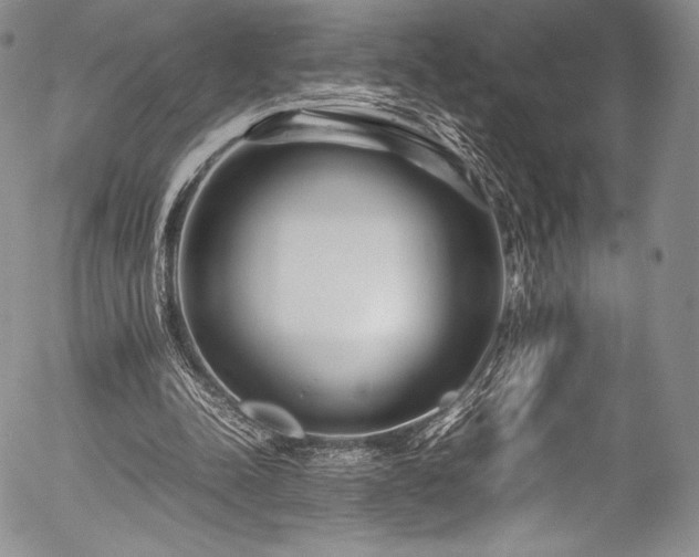 X0000054470342200508011507
