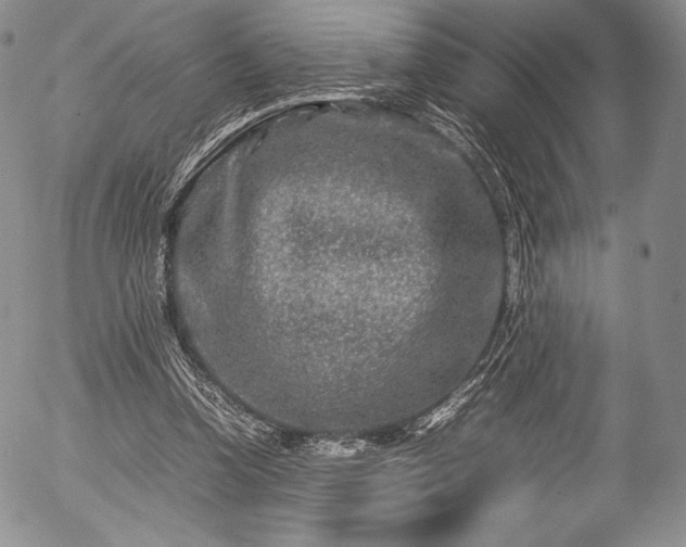 X0000054470346200508011507