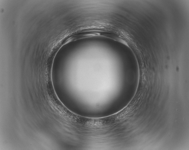 X0000054470354200508011507