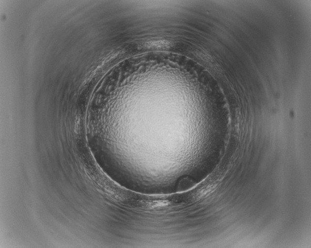 X0000054470355200508011507