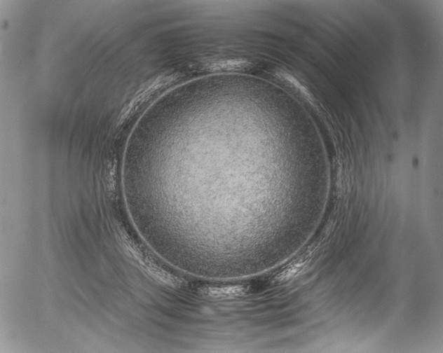 X0000054470357200508011507
