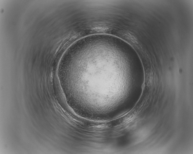 X0000054470365200508011507