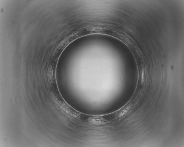 X0000054470372200508011507