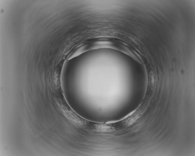 X0000054470380200508011507