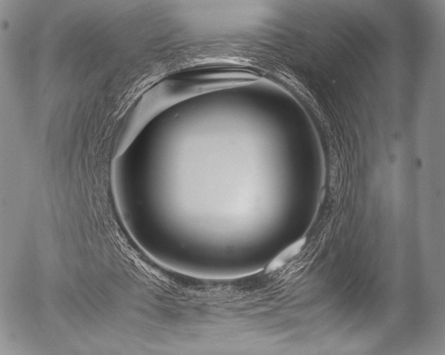 X0000054470385200508011507