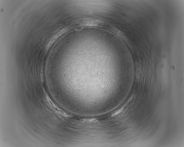 X0000054470386200508011507