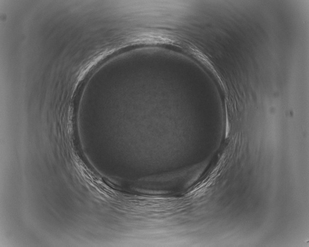 X0000054470387200508011507