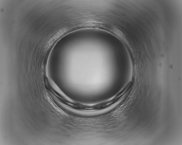 X0000054470389200508011507