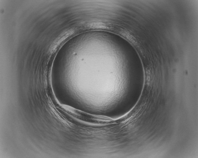 X0000054470390200508011507