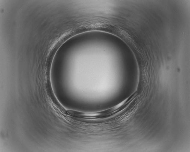X0000054470395200508011507