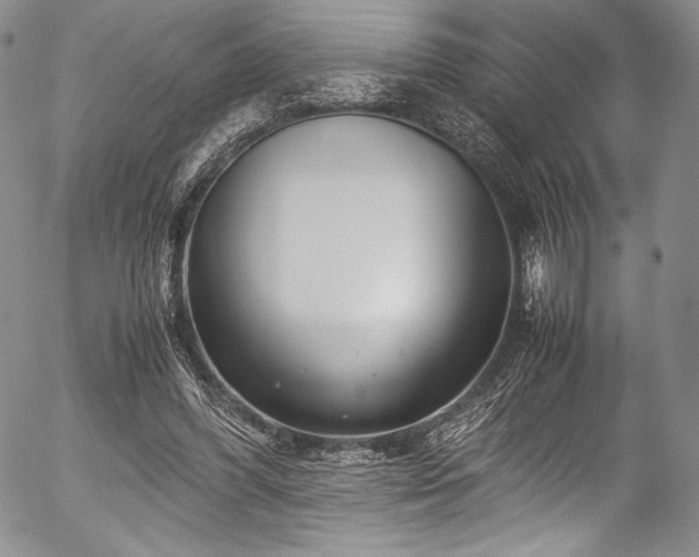 X0000054470396200508011506