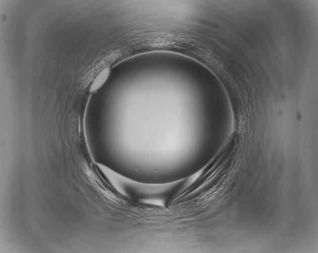 X0000054470397200508011506