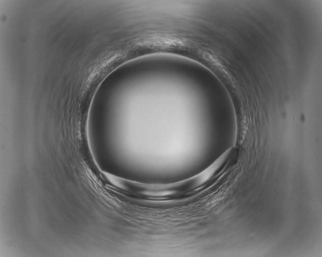 X0000054470399200508011506