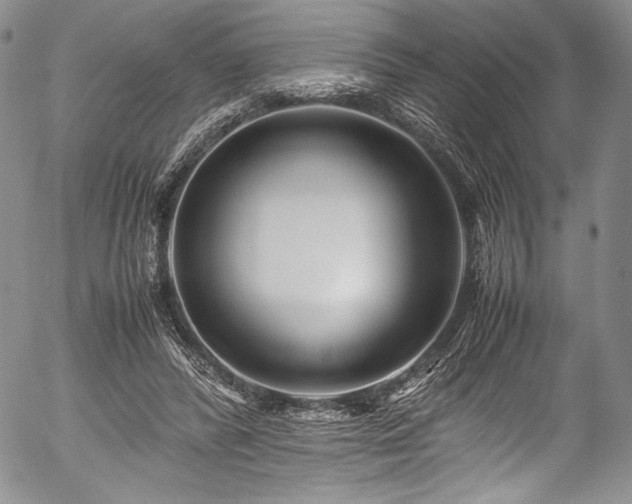 X0000054470400200508011506