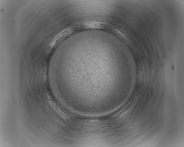 X0000054470402200508011506