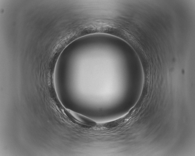 X0000054470403200508011506