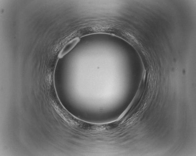 X0000054470405200508011506