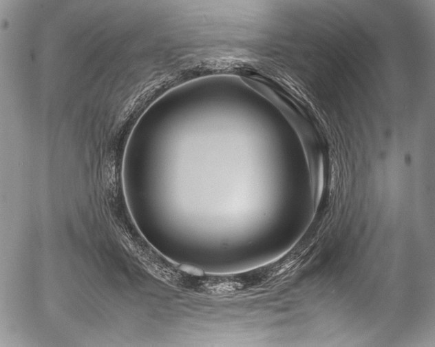 X0000054470407200508011506