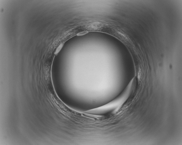 X0000054470409200508011506