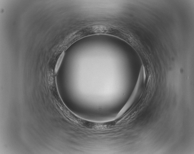 X0000054470413200508011506