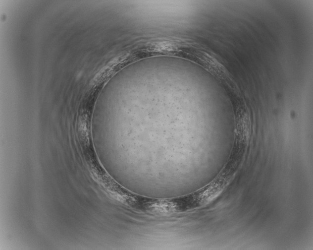 X0000054470415200508011506