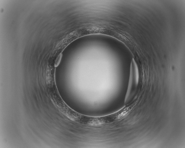 X0000054470416200508011506