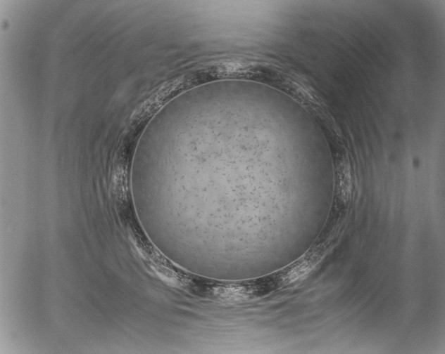 X0000054470419200508011506