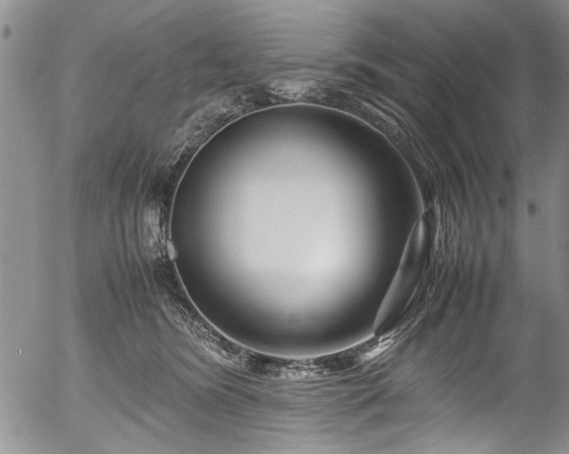 X0000054470420200508011506