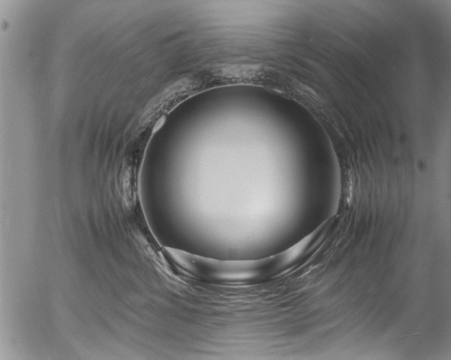 X0000054470428200508011506
