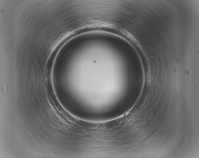 X0000054470436200508011505