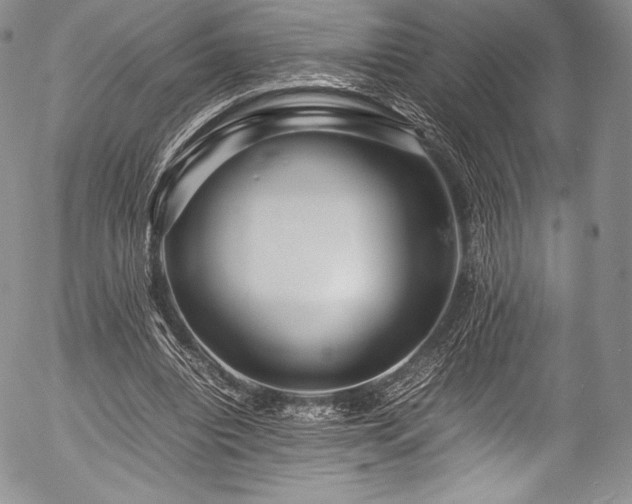 X0000054470440200508011505