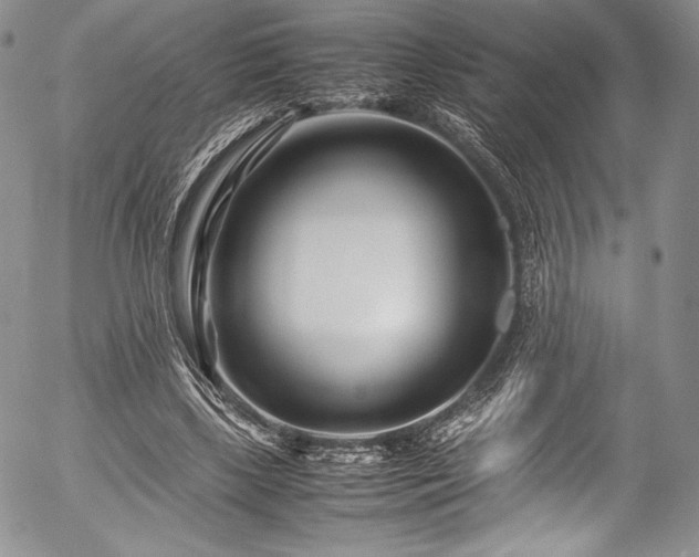 X0000054470443200508011505