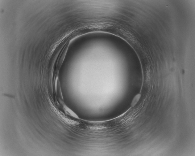 X0000054470444200508011505