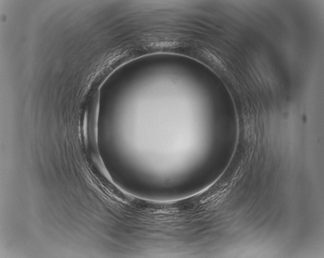 X0000054470447200508011505