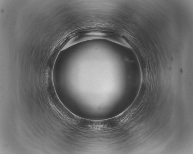 X0000054470448200508011505