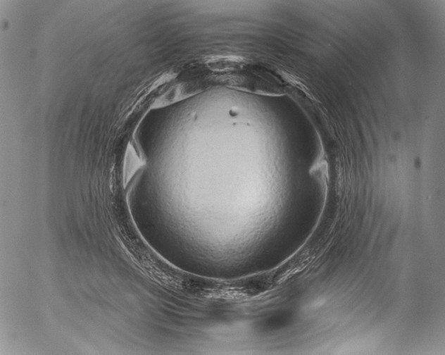 X0000054470451200508011505
