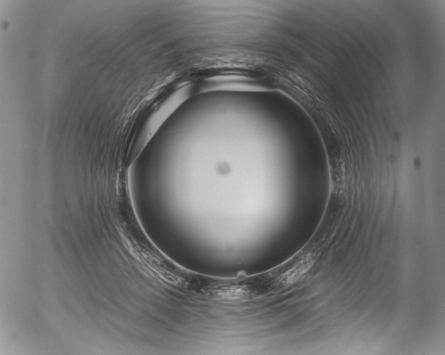 X0000054470456200508011505