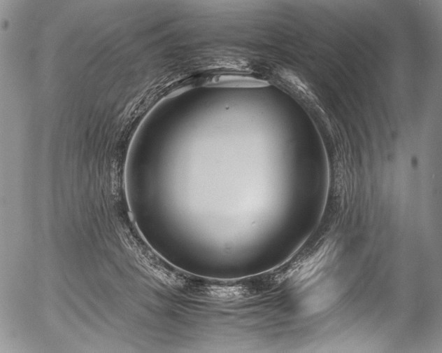 X0000054470457200508011505