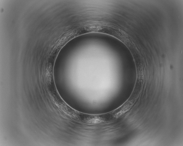 X0000054470460200508011506