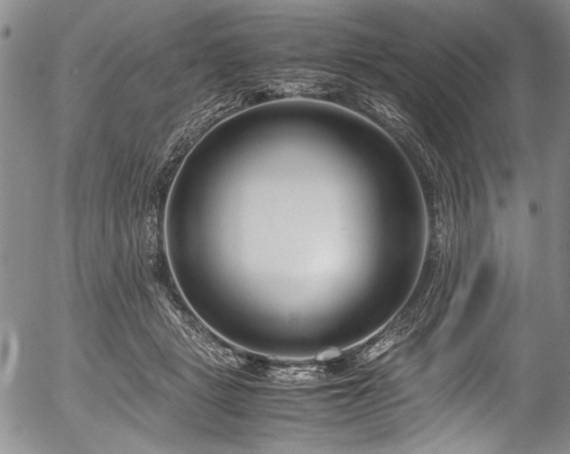 X0000054470461200508011506